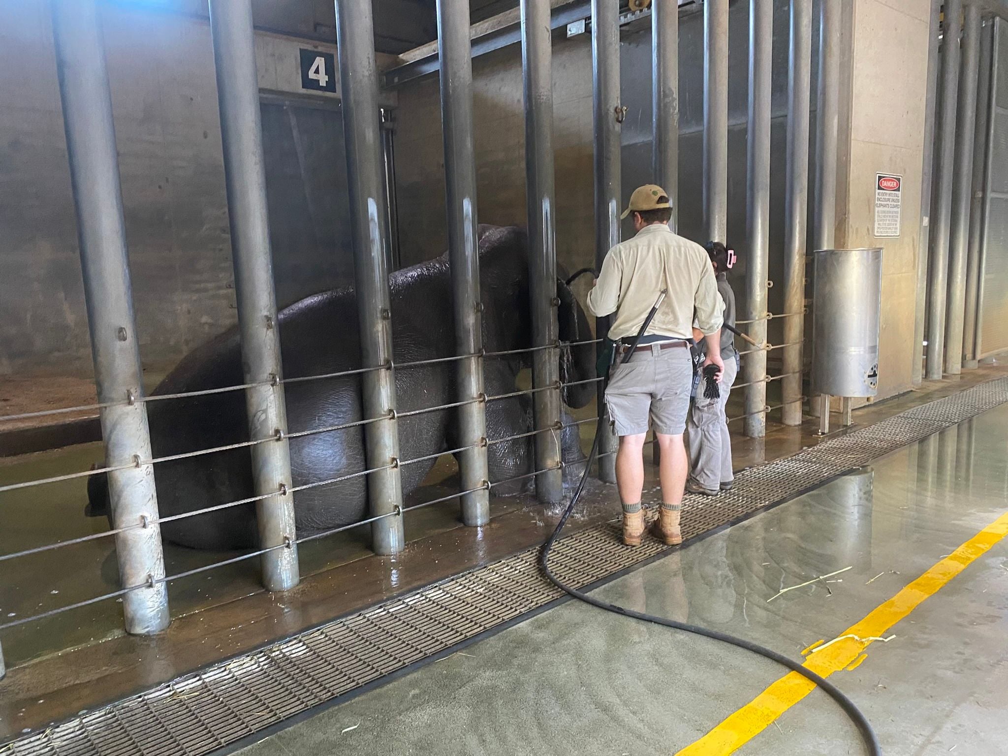 Dubbo Zoo 2025 Image -67de0482ebe7c